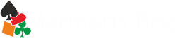 Briç Logo Header